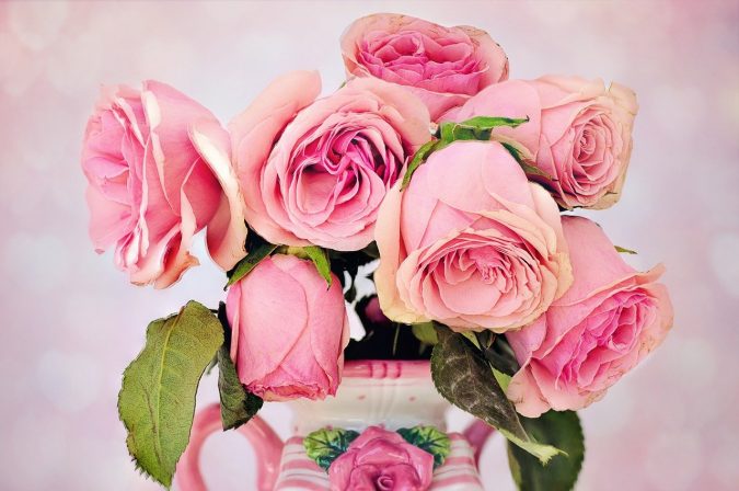 How to Choose Fresh Roses? How to Choose Fresh Roses